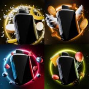 XL VARIETY (PACK OF 5)